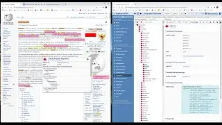 Quick Grok Video: TopBraid Browser Extension