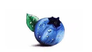 How to draw and colour Blueberry