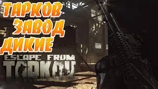 ТАРКОВ,ЗАВОД,ДИКИЕ!