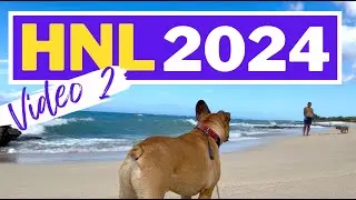 Summer in Hawaii: Honolulu 2024 Video 2