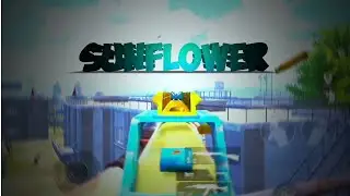 𝕊𝕌ℕ𝔽𝕃𝕆𝕎𝔼ℝ•|•ℙ𝕌𝔹𝔾 𝕄𝕆𝔹𝕀𝕃𝔼