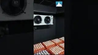 Cold Room for Egg Storage | Freon Heat Exchanger