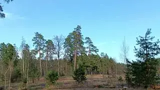 Озеро грязное . Весенний релакс.