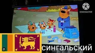 три кота парк дикой природы на разных языках
