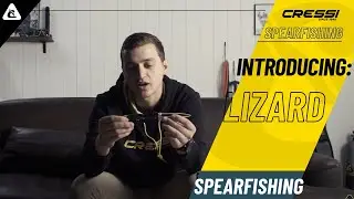 [INTRODUCING: LIZARD]
