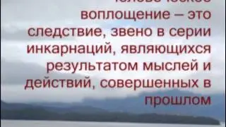 Феномен Жизни и Смерти (Сатья Саи Баба)