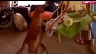 Коты-самые лучшие няни!)))