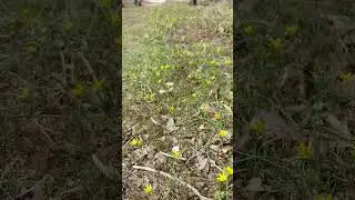 весна😊