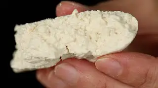 Cheese and Tofu: Curds in Common | Hungry for Science