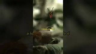 Teoria do CAOS: descubra o incrível poder do efeito BORBOLETA 🌎🦋