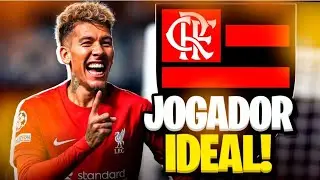 Firmino é o jogador ideal para o Flamengo