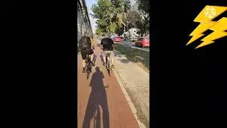 olha o que aconteceu na hora que eu estou filmando#short