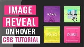 Image Reveal On Hover CSS | CSS Image Effects | CSS Tutorials  2019