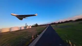 Sunset Wing Chase