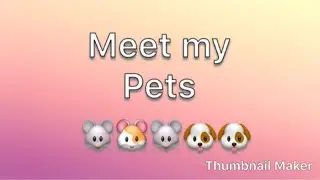 Meet my pets (2018)|Lulu and Liv studios|