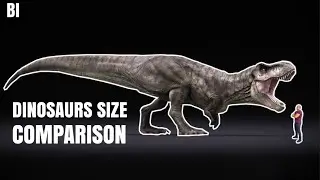 Dinosaurs Size Comparison