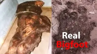 Most DISTURBING Camping Encounters Caught on Camera Vol.12