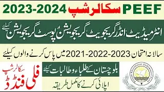 Unlocking Opportunities: PEEF Scholarships for Balochistan Students 2023-24 | Apply Now