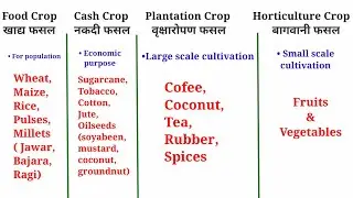 Types of Crop