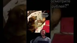 #папич