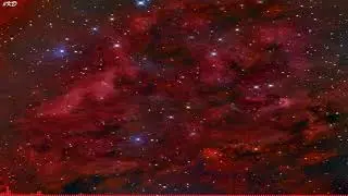 NEFFEX - Fear [Lyrics]