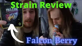 Falcon Berry Strain Review/Smoke Sesh