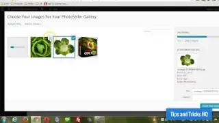Creating a Photo Gallery with the Photo Seller Plugin