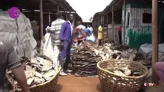 Uganda-Kenya fish trade row brewing following seizure of Kenyan trucks