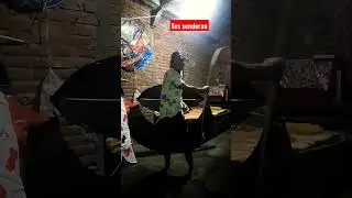 tes senderan