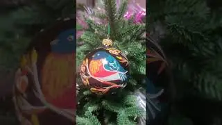 #сновымгодом #2024 #новыйгод #растения #цветы #красота #цветыдома