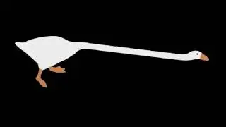 hjonk