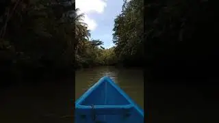 BERLAYAR || sungai maron #foryou #trendingshorts #trending #shortsfeed #vlog #fypage #yusufrestuadji