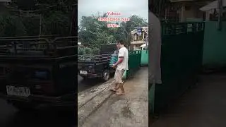 vlog harian