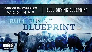 Bull Buying | WEBINAR - January 25th, 2022 - (Jeff Mafi, Mark Johnson, Dr. Jill Peine)