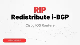 Redistributing iBGP Routes into RIP - Step-by-Step Configuration Guide | Urdu/Hindi
