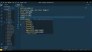 Program to swap two Numbers in C Language
