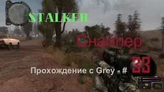 Сталкер снайпер  Прохождение с Grey   # 33