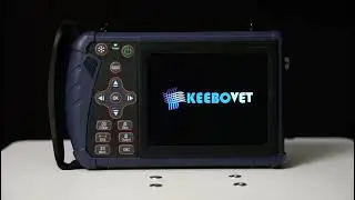 ECo12 vet Bovine handheld Ultrasound with rectal probe