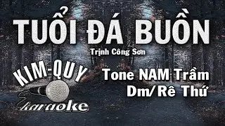 TUỔI ĐÁ BUỒN - KARAOKE - Tone NAM Trầm ( Dm/Rê Thứ )