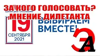 Выборы в Думу 2021. За кого голосовать? Мнение дилетанта