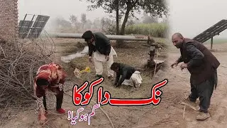 Nak Da Koka Gum Ho Gaya| Airport Full Funny Video | نک دا کوکا | Baba Helmat | Ad 1122
