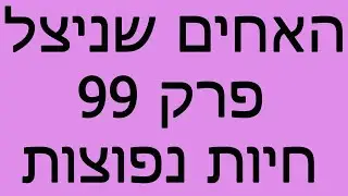 האחים שניצל - פרק 99 - חיות נפוצות
