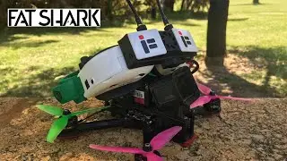 Shark Byte Hoo-Ha-Ha! - Dvr ImpulseRc Apex