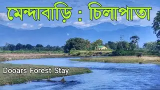 Mendabari ✓ Chilapata Forest Resort ✓ Dooars Forest Stay ✓ Chilapata Homestay ✓ Chilapata Forest