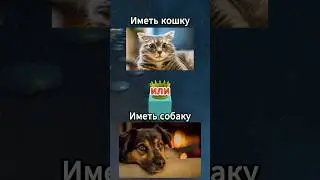 Что ты выберешь? Часть 31 