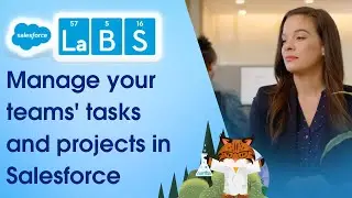 Salesforce Labs- Project Management Tool