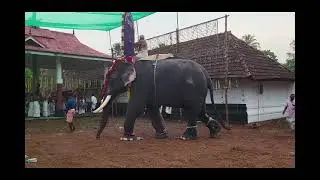 KERALA, EL PAÍS DE DIOS. 