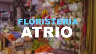 FLORISTERIA ATRIO 🌹