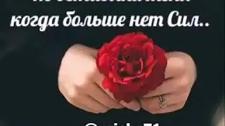 🌸🌸🌸