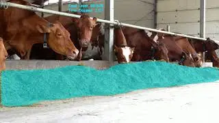 Feed Level Monitoring